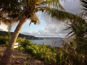 christmas-island photo via cntraveler