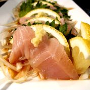 Copyright Harney Sushi 4