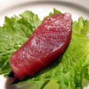 Copyright Harney Sushi